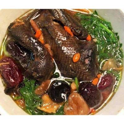 Món ngon bổ dưỡng từ thịt gà ác