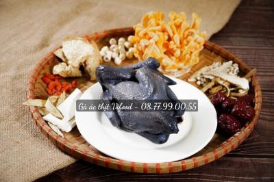 Cung cấp gà ác giá sỉ Cà Mau